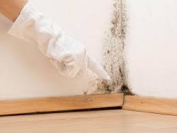 Reliable Strasburg, OH Mold Removal & Remediation Solutions